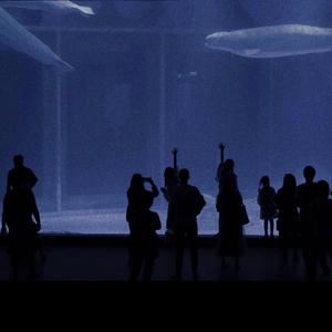 �������ξ��㹥��
