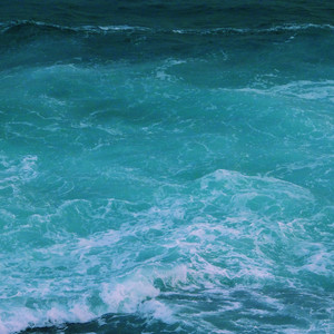 �������ξ��㹥��
